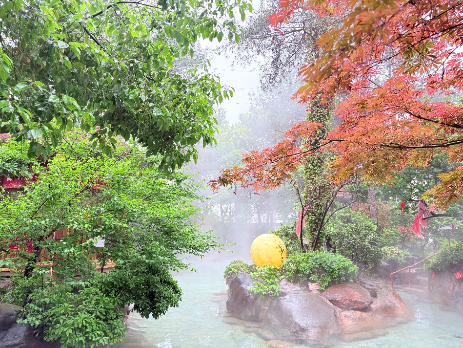 1777434062425047828.jpg 2026.4.27 上海高校老教授赴武义唐风温泉康养之旅圆满收官_img1.jpg
